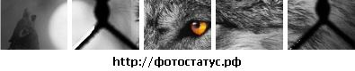 Фотография Сергей Бул