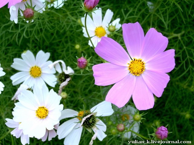 Айгуль Яруллина | Казань