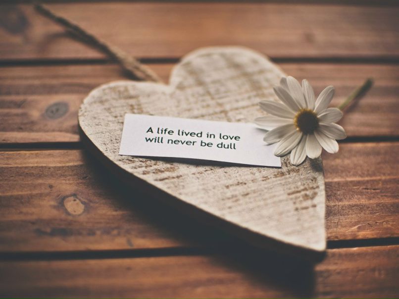 Елена Масолапова | Минск