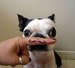 Оксаночка Игнатьева фотография #2 (источник - https://vk.com/id151114440)