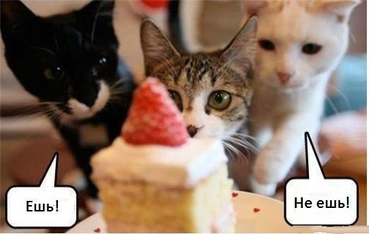 Оксана Світла | 