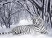 Галя Златорёва фотография #6 (источник - https://vk.com/id183236462)