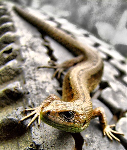 Константин Котов | Москва