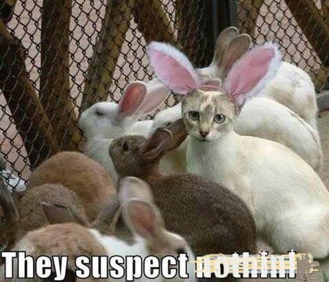 №10, Микола Бліщ, 41 год, Броды №10, Микола Бліщ, 41 год, Броды