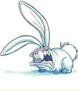 Фотография Rabid Rabbit