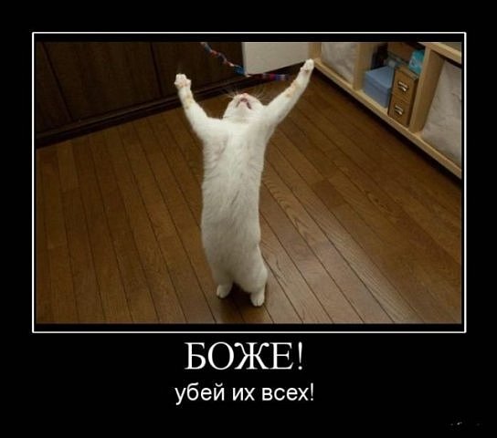 Ольга Сотникова фотография #1