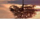 №159, Елена Щербакова, 37 лет, Харьков №159, Елена Щербакова, 37 лет, Харьков