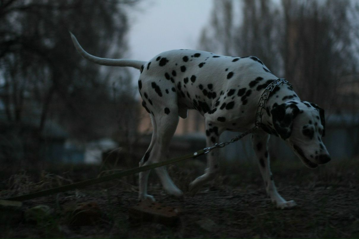 Славик Аджигитов | Москва