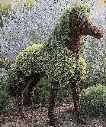 Венера Гаянова | Уфа