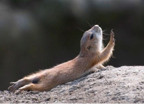 Соня Семёнова | Тула