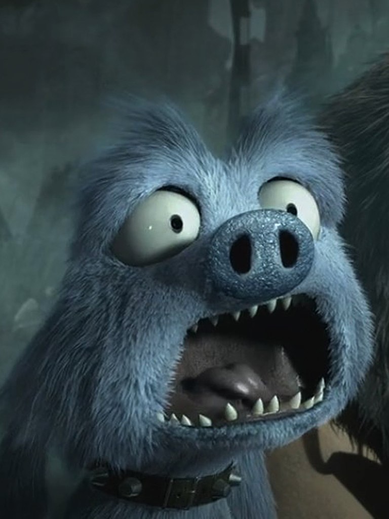 Андрей Гоян | Черновцы