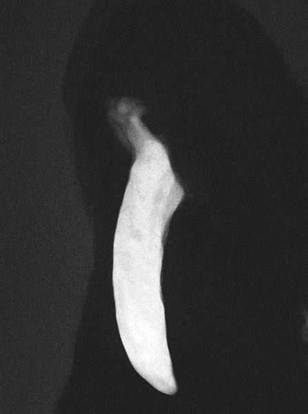 Михаил Попов | Киев