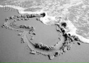 №18 Алёна Ситникова 07.06: профиль, фото, статус - ВКонтакте №18 Алёна Ситникова 07.06: профиль, фото, статус - ВКонтакте