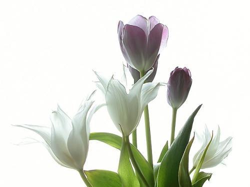 Anastasia Filiaieva | Днепр (Днепропетровск)