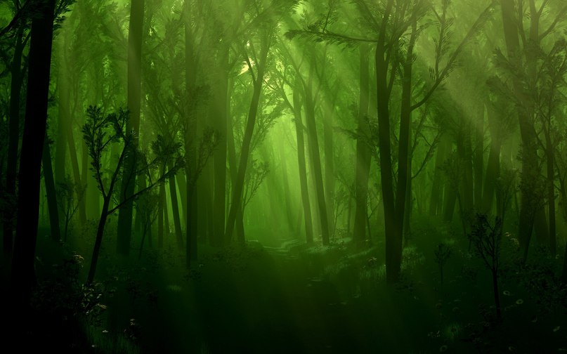 Анжелика Говорун | Одесса