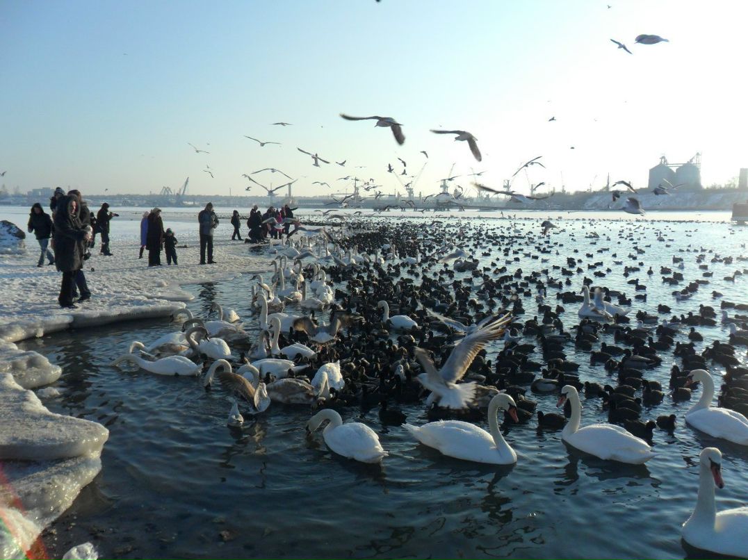 Игорь Синьков ~ Senya ~ | Одесса