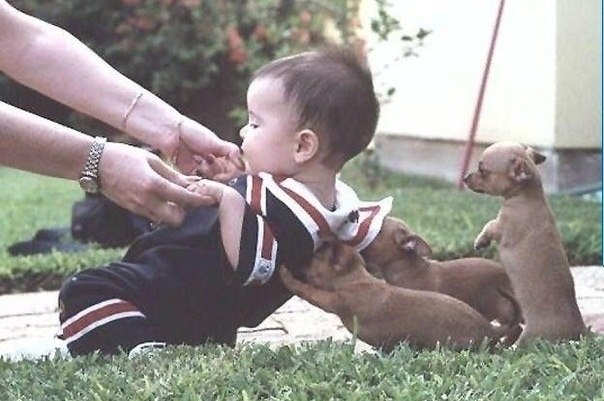 Oleg Mamejev | Таллин