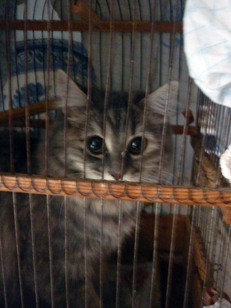 Евгения Кулешова | Тамбов