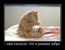 №7 Александра Кушеверская