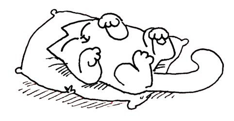 Валерия Кулемза | Донецк