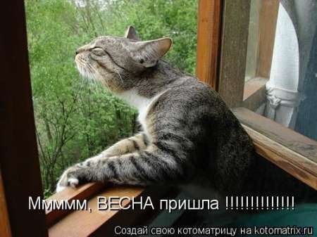 Вадим Сак *))shaman((* | Пулины / Червоноармейск