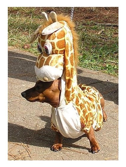 №1, Надежда Лахманова, Москва №1, Надежда Лахманова, Москва