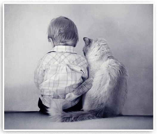 Кирилл Соич | Гомель