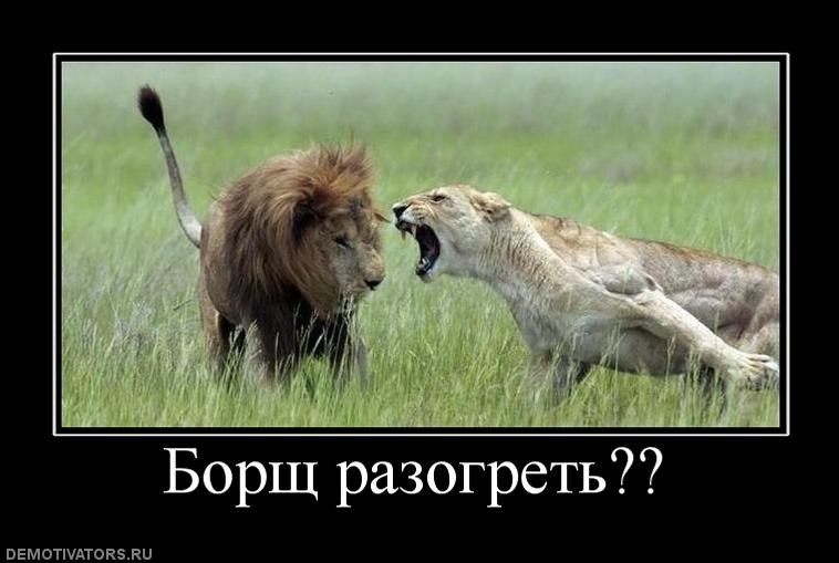 Олег Кокуца | Каменец-Подольский