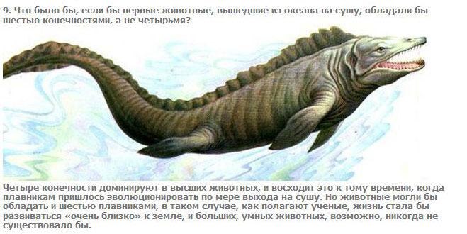 Игорь Булгаков | Орёл