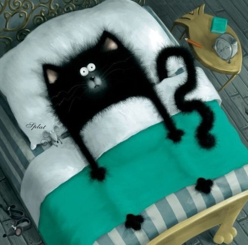 Светлана Галыгина | Нижний Новгород