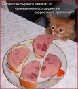 №29 Диана Кулясова