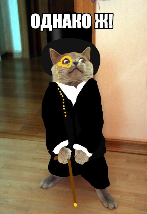 Egor Timoshkin eggis | Москва