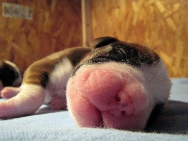 №82, Елена Мараева, Москва №82, Елена Мараева, Москва