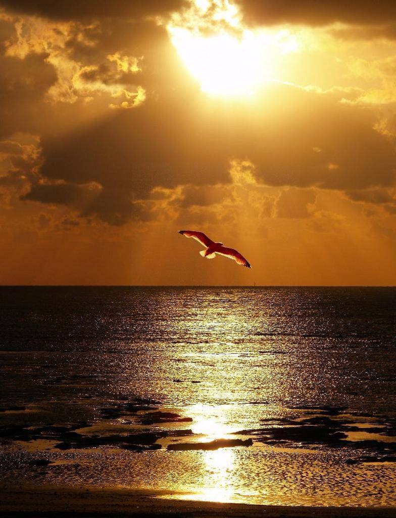 Галина Болотова | Калуга (деревня)