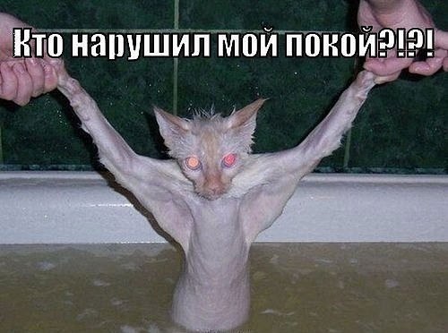 Валентин Бураков | Ростов-на-Дону