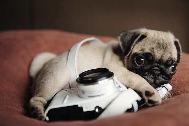 Мария Остен | Москва