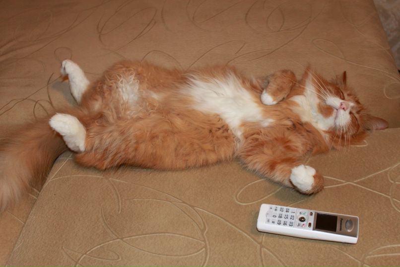 Ирина Павлова | Санкт-Петербург