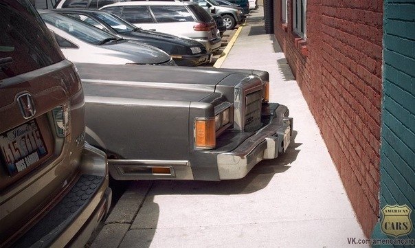 Тарас Короляк | Wolfsburg