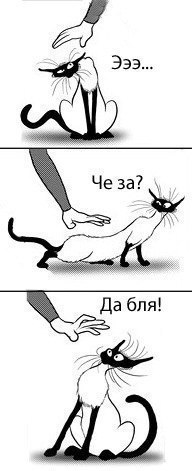 Наталья Грабкова | 