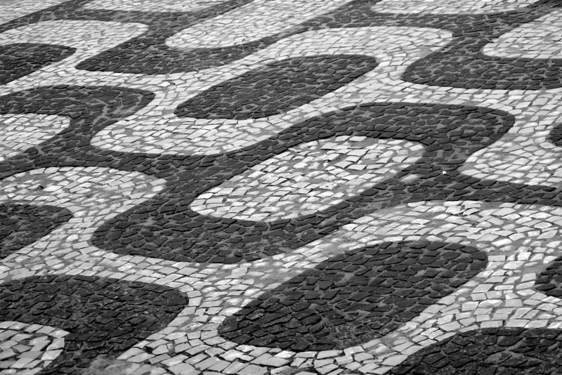 Xenia Harley | Austin