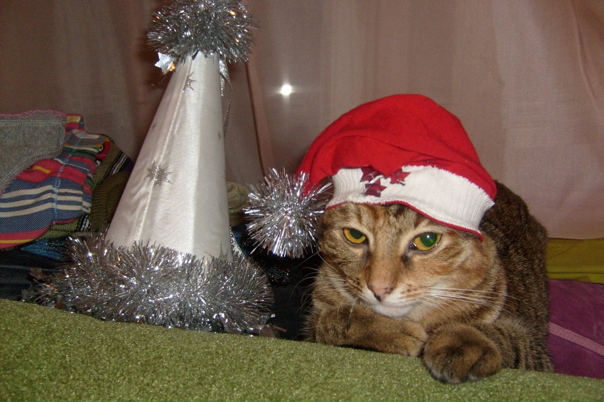 Анастасия Красникова | Москва