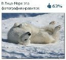Фотография Давид Малоев