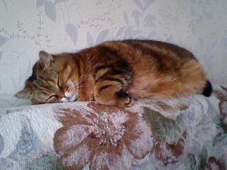 Марина Катусова | Санкт-Петербург