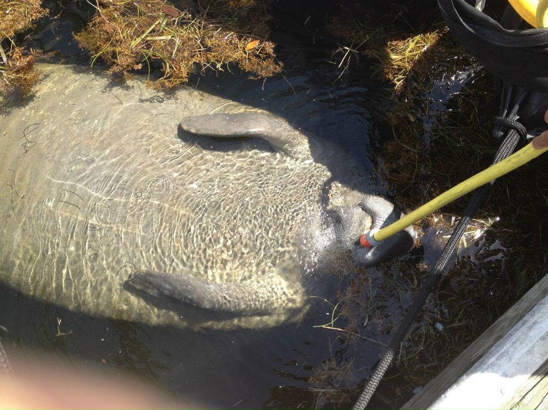 Данила Ильчик | 