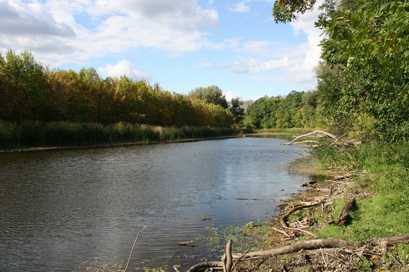 Маргарита Иванова | Москва