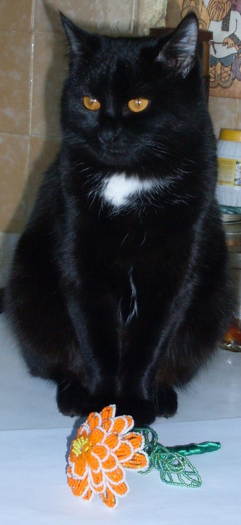 Дарья Федорова | Ярославль