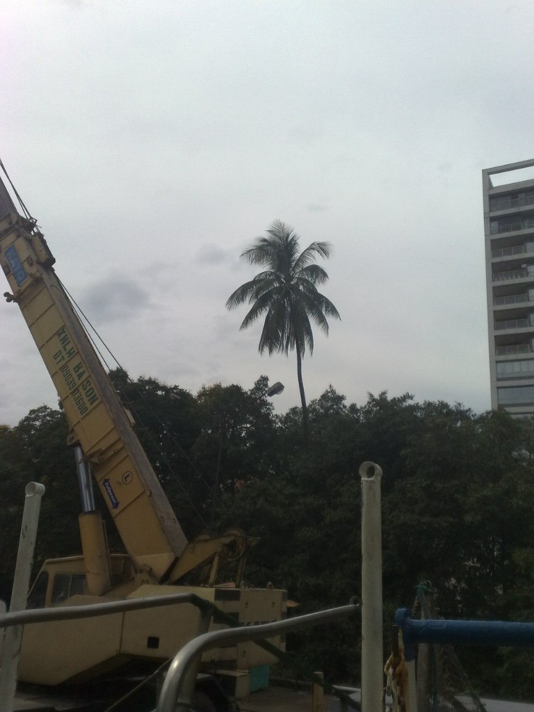 Сергей Кукушкин | Мурманск