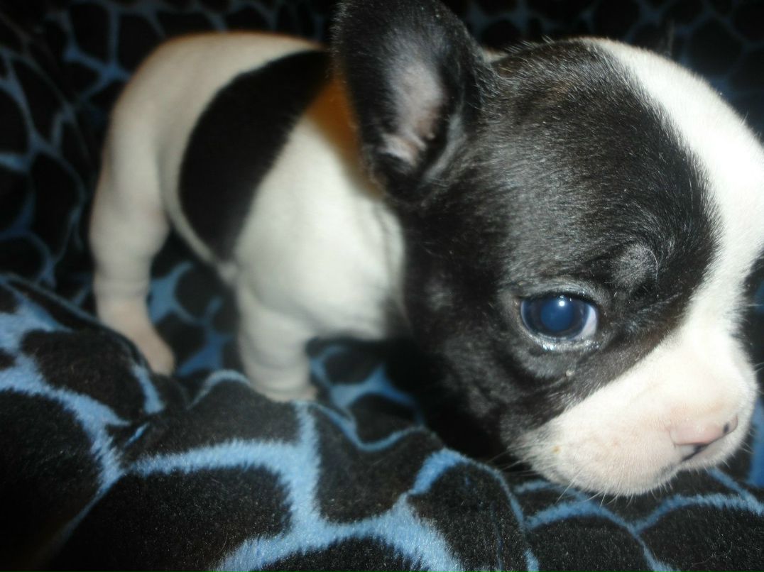 Александр Цап | Харьков