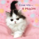 Фотография Гуц Анны