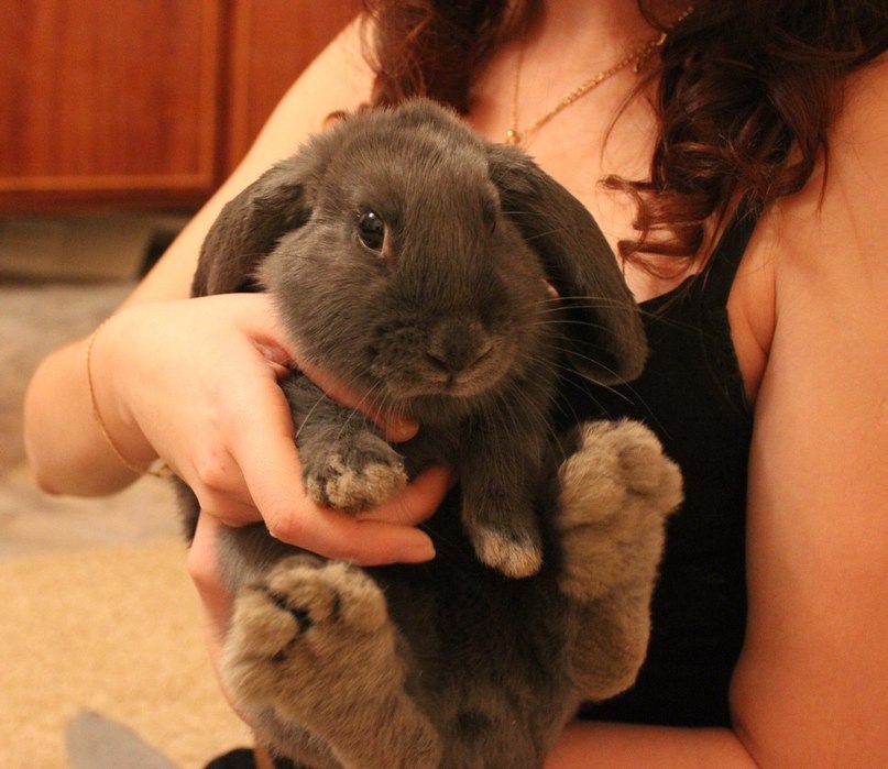 Наталья Костромина | Санкт-Петербург